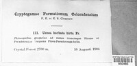 Image Associated With the Occurence